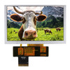 5.0 inch IPS TFT display front ON