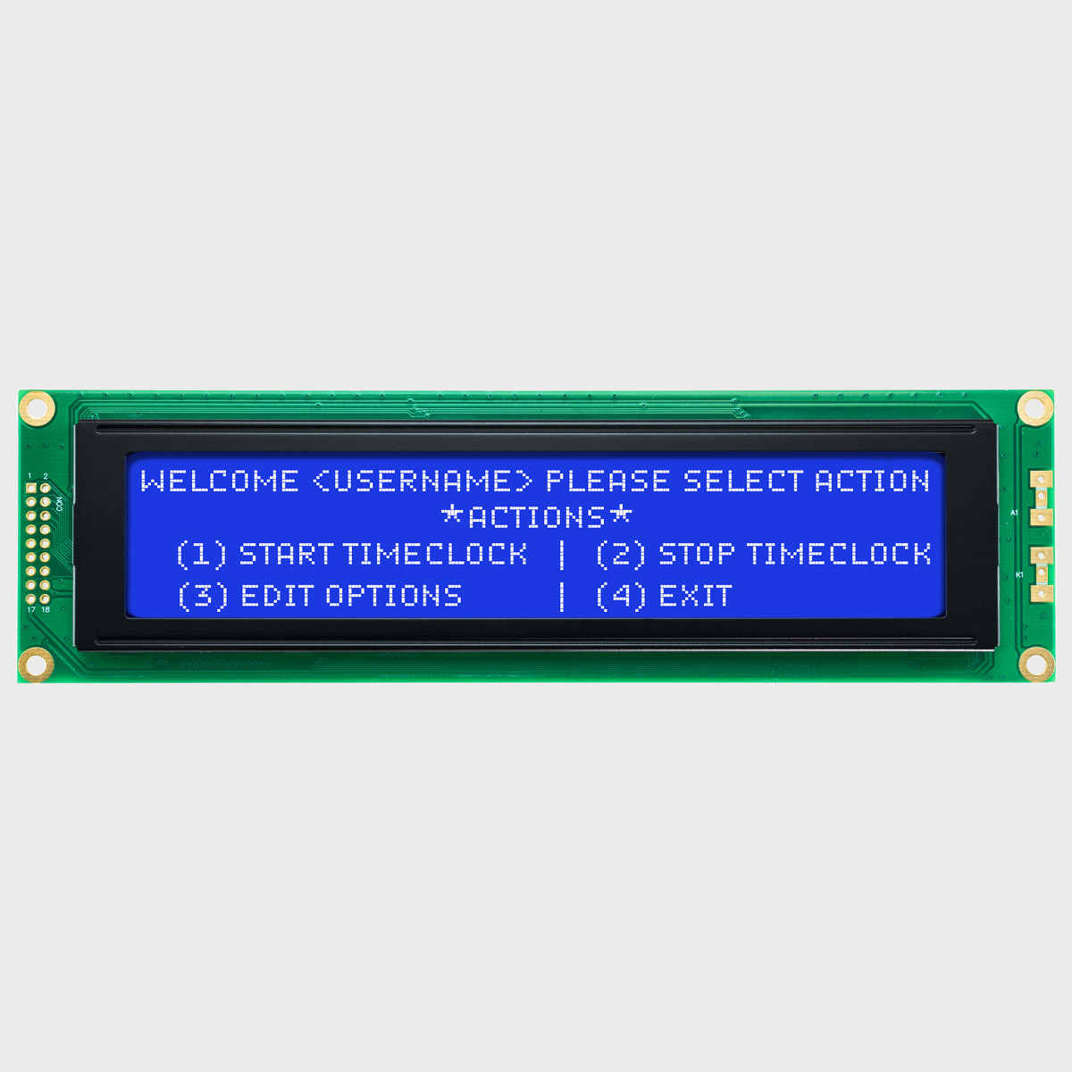 40x4 Character LCD | STN- Blue Display with White Backlight