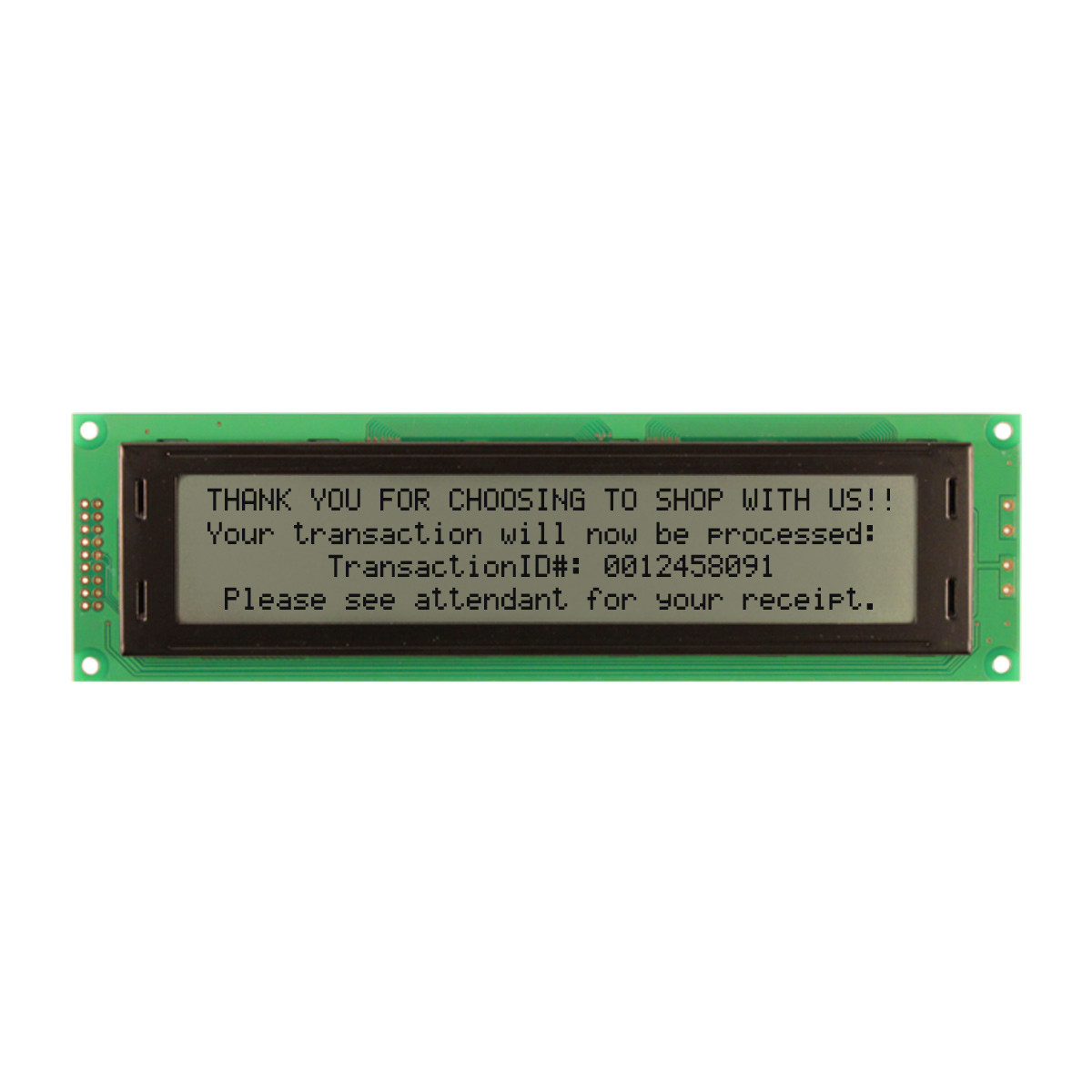 40x4 Character LCD | FSTN+ Display with No Backlight