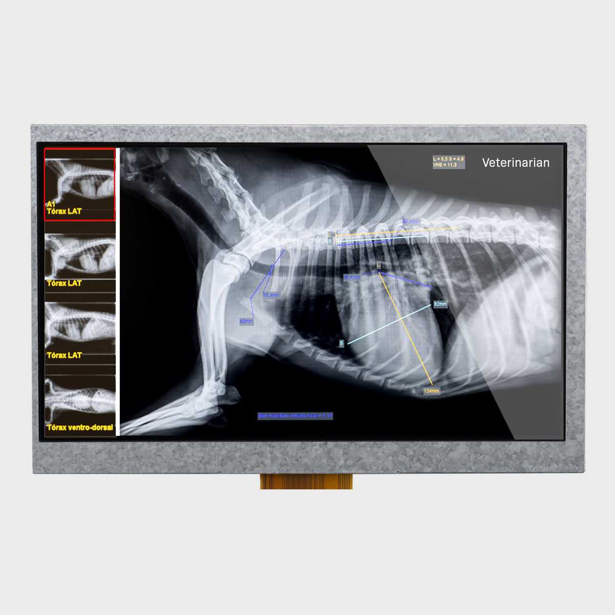 sin57ページ 160x128 Graphic LCD Module | STN- Blue with White Backlight