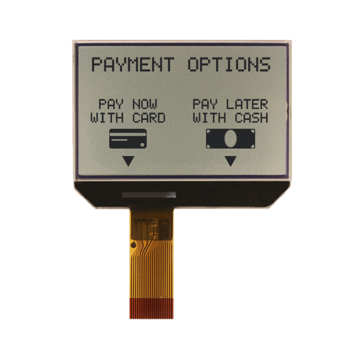 160X100 Graphic COG LCD | FSTN+ Display with No Backlight