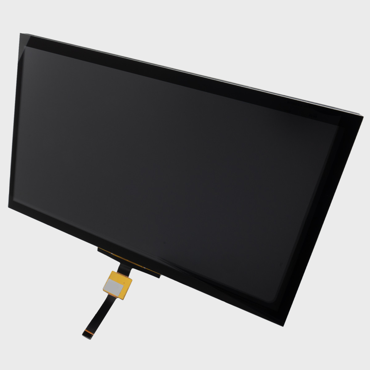 10.1 inch IPS Capacitive TFT LCD
