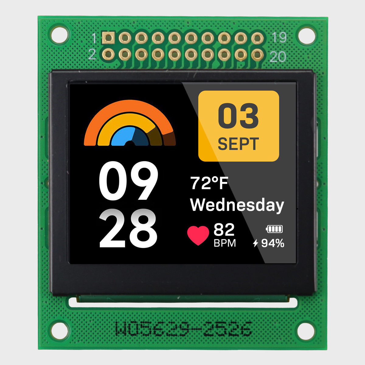 1.69 inch Full Color OLED Module