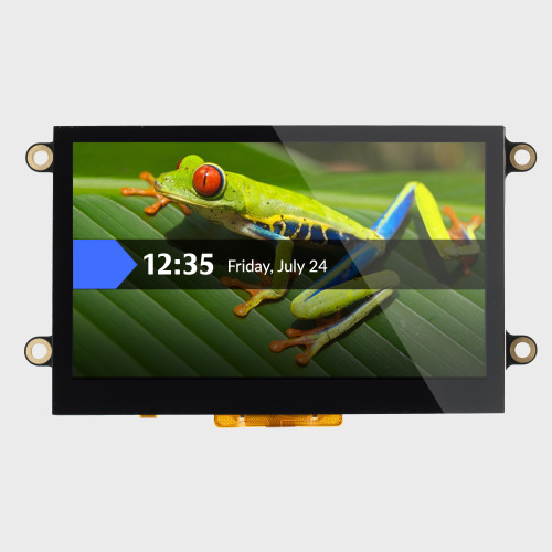 Front view of a bright 800x480 pixel IPS TFT LCD module with mounting holes showing a time and date with an image of a frog behind it.