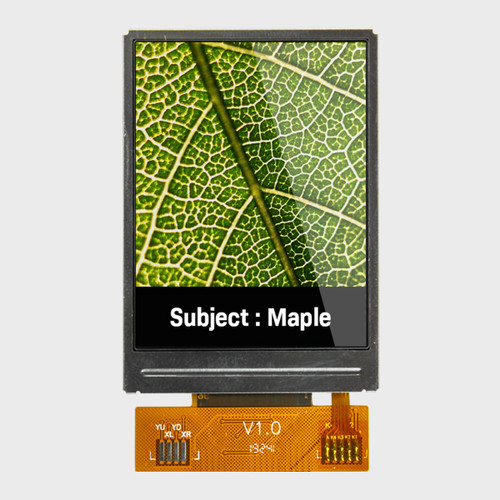 Front view of a bright 240x320 pixel IPS TFT LCD showing a detailed close-up image of a leaf.