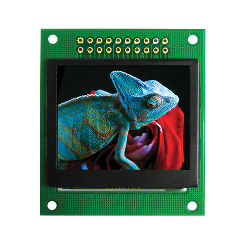 1.69 inch Full Color OLED Module front ON
