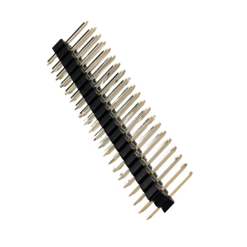 An angled view of a pin header with 2 rows of 20 connection pins, with the right side toward the camera to highlight the pin layout.