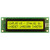 LCD STN a 2x24 caratteri grigio con retroilluminazione giallo/verde Acceso frontale