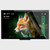 Front view of a 1024x600 pixel IPS TFT LCD showing an image of a fox and a touch-controlled brightness slider.