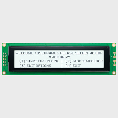 40x4-Character-FSTN-positive-