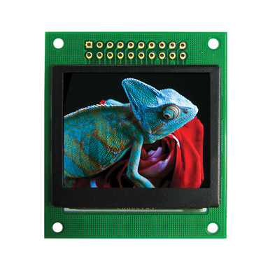 OLED-Module-Color-169-Graphic-
