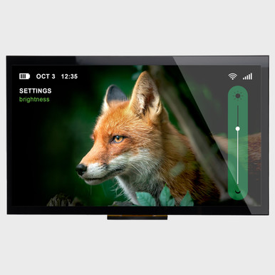 10.1 Inch IPS Capacitive TFT LCD with LVDS Interface