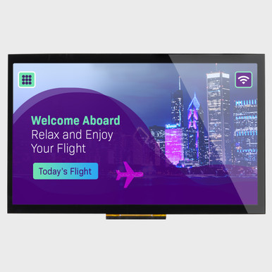 10.1 inch IPS Capacitive TFT LCD