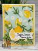 Fun Sayings 2-Fruit Puns clear stamp set