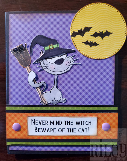 Beware of the Cat