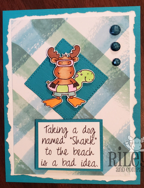 A Dog Named Shark A Dog Named Shark