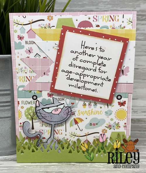 Developmental Milestones