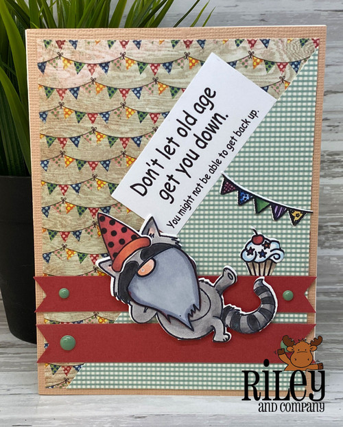 Giggling Raccoon Giggling Raccoon