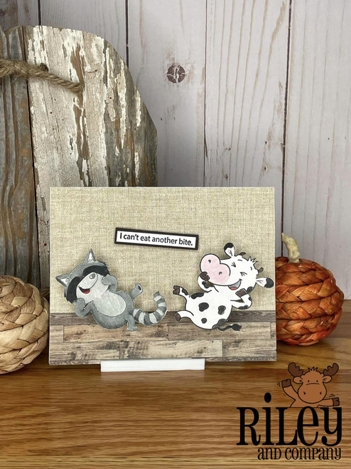 Giggling Raccoon die Giggling Raccoon die