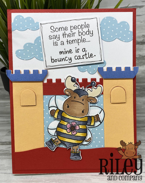 Bouncy Castle Bouncy Castle