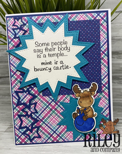 Bouncy Castle Bouncy Castle