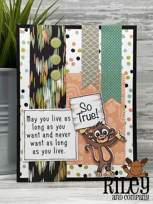 May You Live May You Live