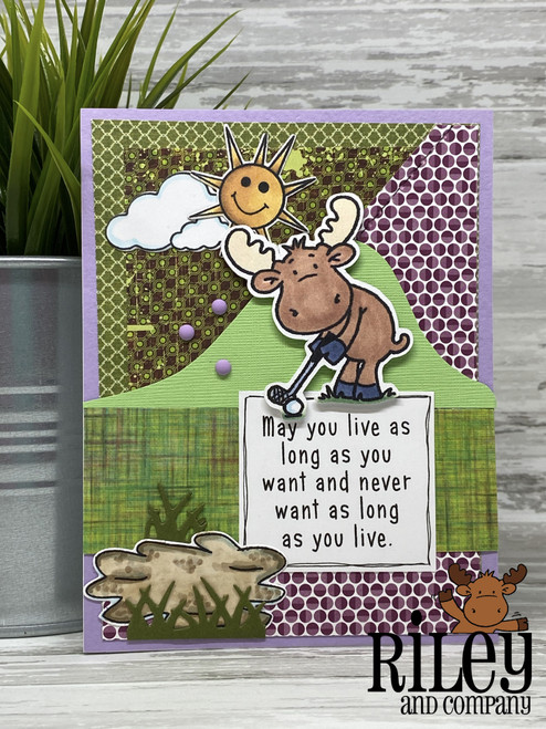 May You Live May You Live