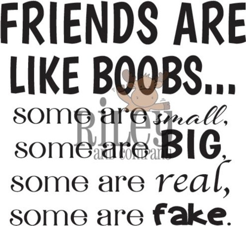 Friends are like Boobs