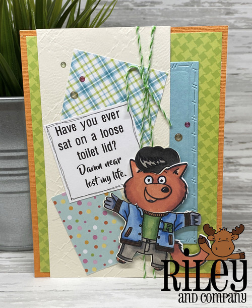 Loose Toilet Lids Loose Toilet Lids