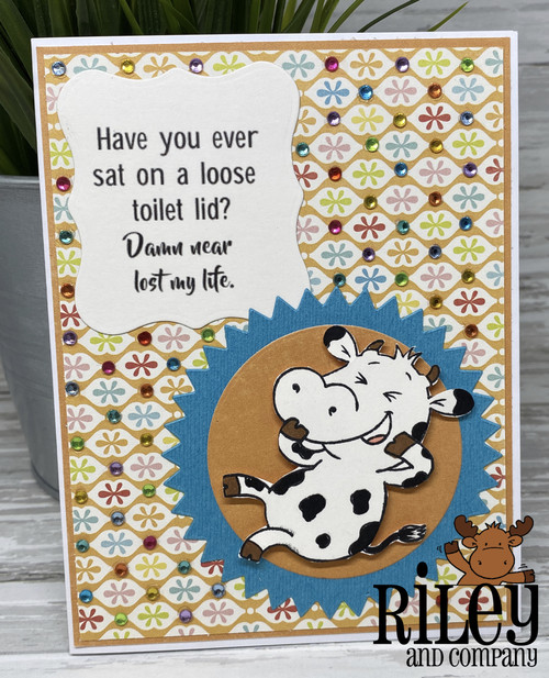 Loose Toilet Lids Loose Toilet Lids