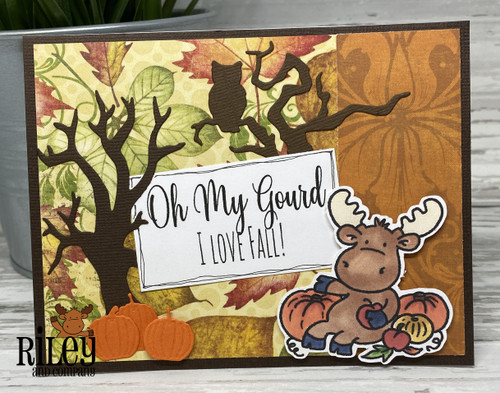 Change Out Jacks Change Out Jacks