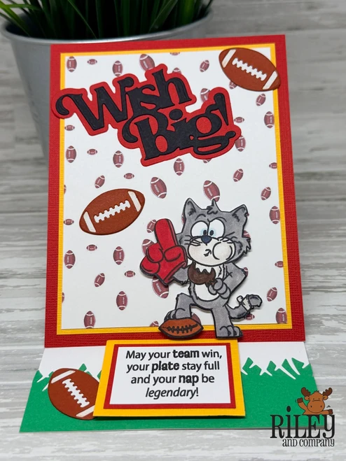 Wish Big