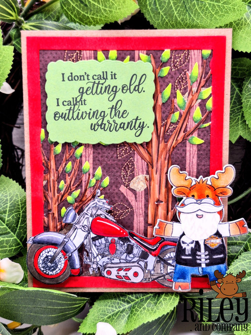 Outliving the Warranty