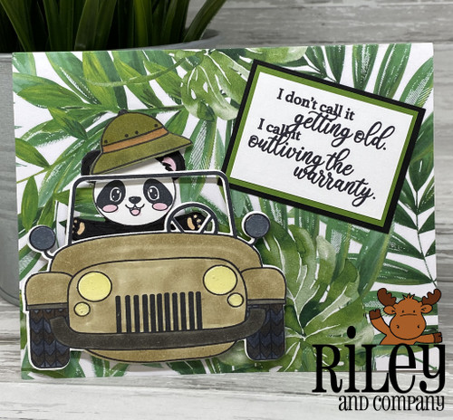 Outliving the Warranty