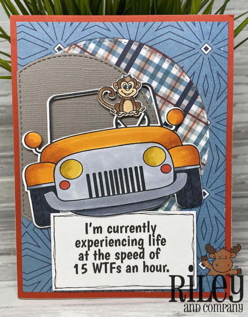 Baby Jungle Animals stamp and die set