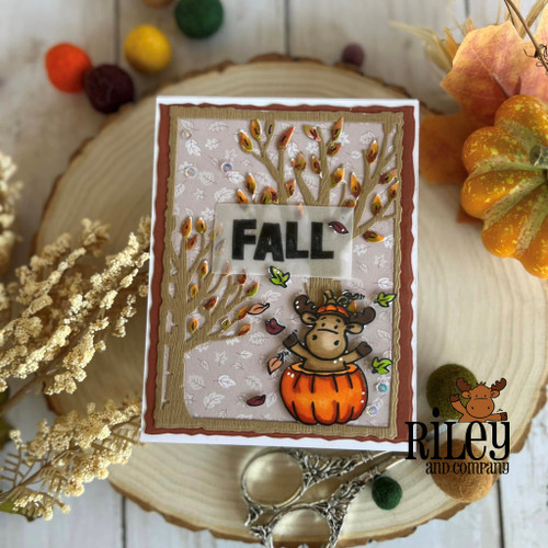 My Favorite F-Word My Favorite F-Word