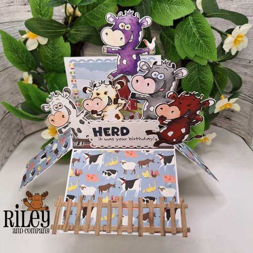 Herd It Was Your Birthday