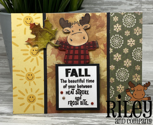 Fall: The Beautiful Time