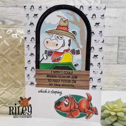 Boomer Big Bones clear stamp set