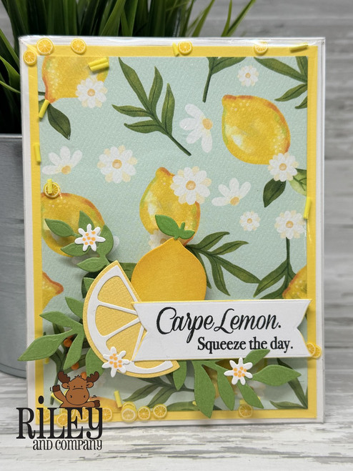 Mega MEGA! Craft Along Kit - April 2026