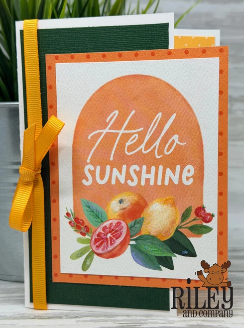 Glue and Go-Spring #5