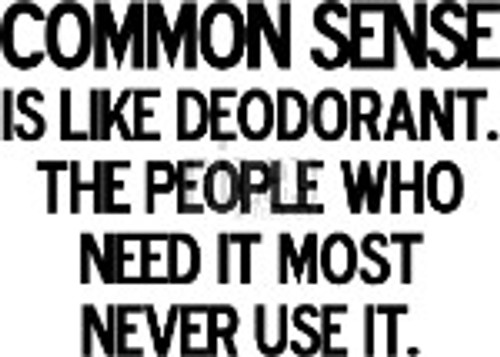 Common Sense