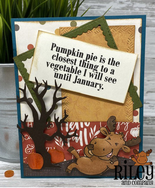 Pumpkin pie Pumpkin pie