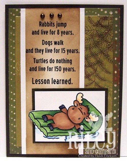 Lessons Learned Lessons Learned