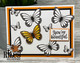 Butterflies clear stamp set