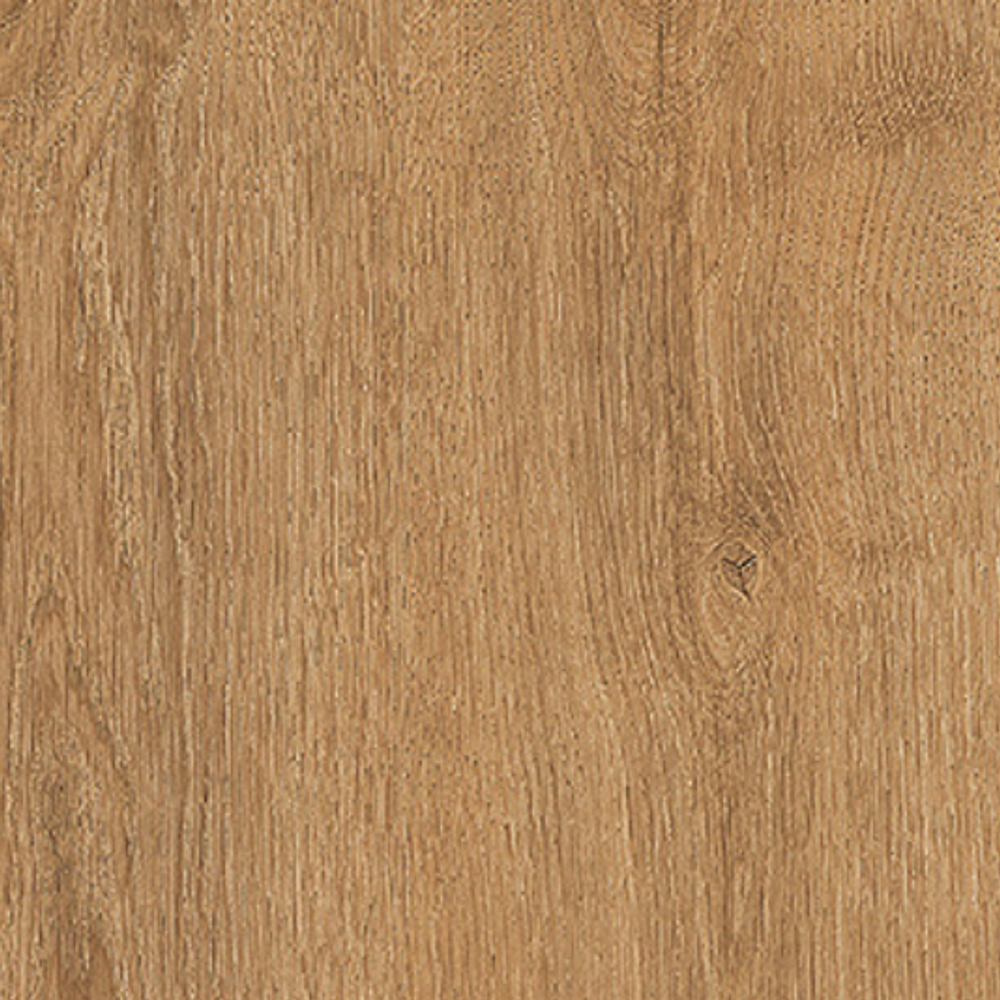 Antique Oak BW009 PREM+ [Sample]
