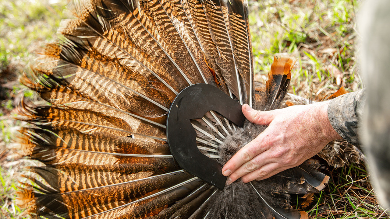 turkey tail mounting kits