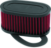 BikeMaster Honda VT750C/CD Shadow ACE/DLX Air Filter Part #457010