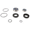 All Balls Racing Jet Pump Rebuild Kit for PWC Part #14-3005