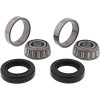 All Balls Racing 73-77 Harley-Davidson FLH Electra Glide Front Wheel Bearing Kit (Part #25-1002)